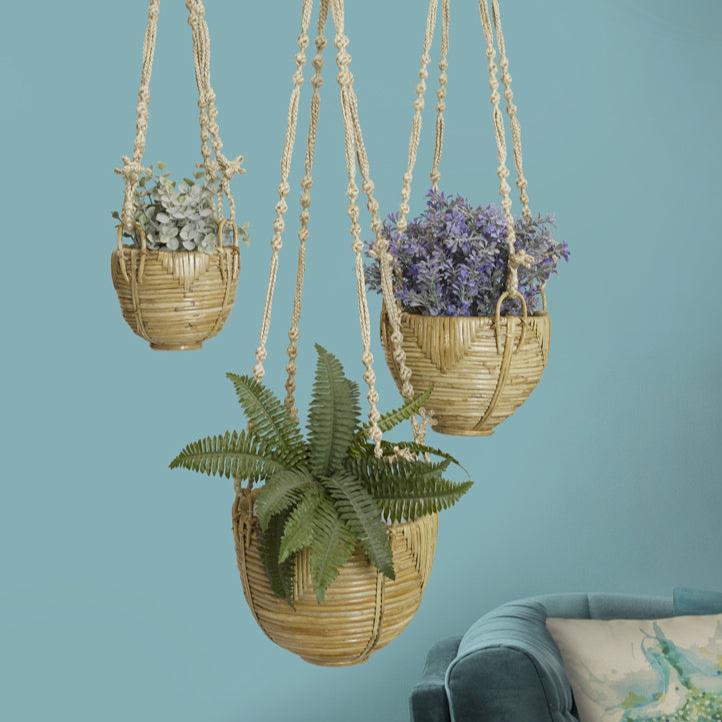 Pattaya (Set of 3) Hanging Planters