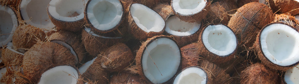 Piled split coconuts with fibrous brown husks, the natural coir used in Fab Habitat doormats