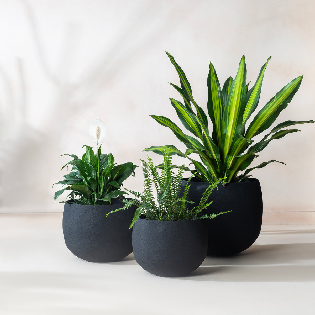 Midnight Planter, flat product shot of planter set