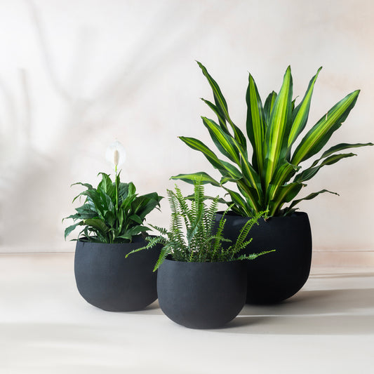 Midnight Planter, flat product shot of planter set