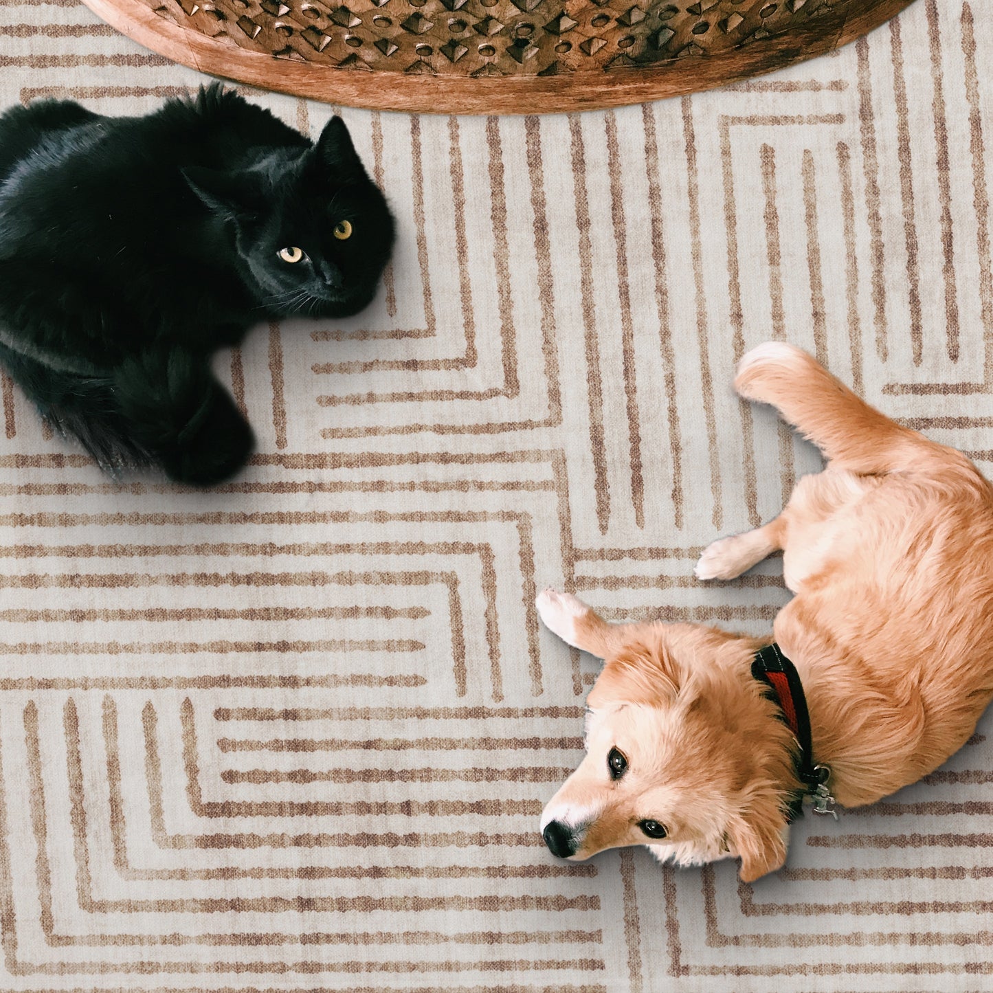 Finn Modern - Beige ReaLife Machine Washable Rugs