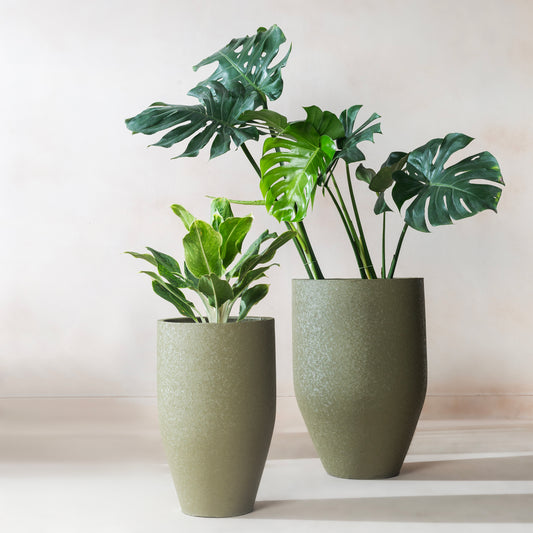 Green Planter, flat product shot of planter set