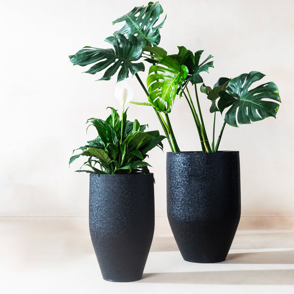 Lifestyle view of two tall black planters holding monstera and peace lily