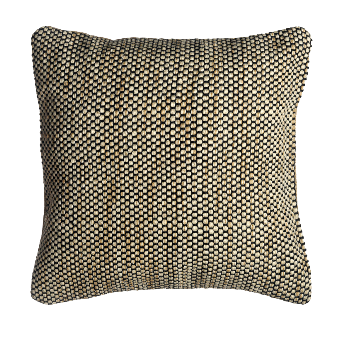 Kingscote - Black & Beige Solid Stain Resistant Indoor/Outdoor Pillow for Patio (20" x 20")