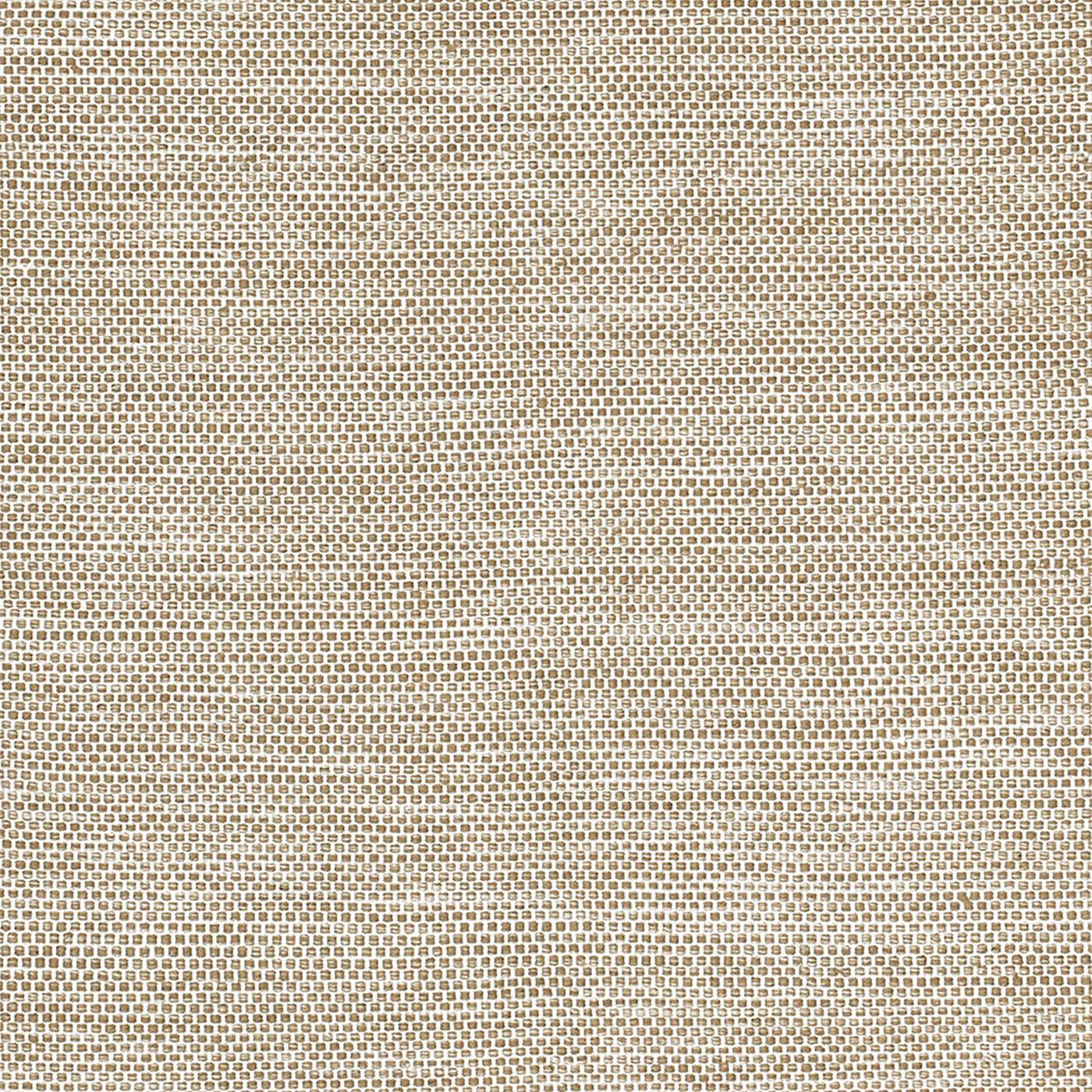 | 2-5--x-8--Runner 2--x-3- 4--x-6- 5--x-8- 8--x-10- beige---white