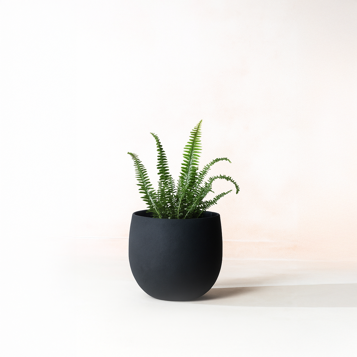Midnight Planter, lifestyle room scene