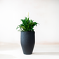 Lifestyle view of medium tall black planter holding a peace lily