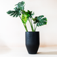 Lifestyle view of large tall black planter holding a monstera