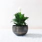Lifestyle view of medium antique brass planter holding a peace lily