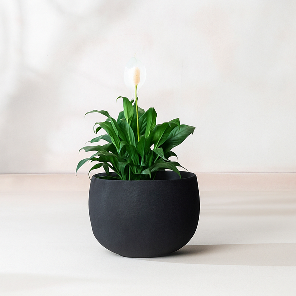 Midnight Planter, lifestyle room scene, alternate angle