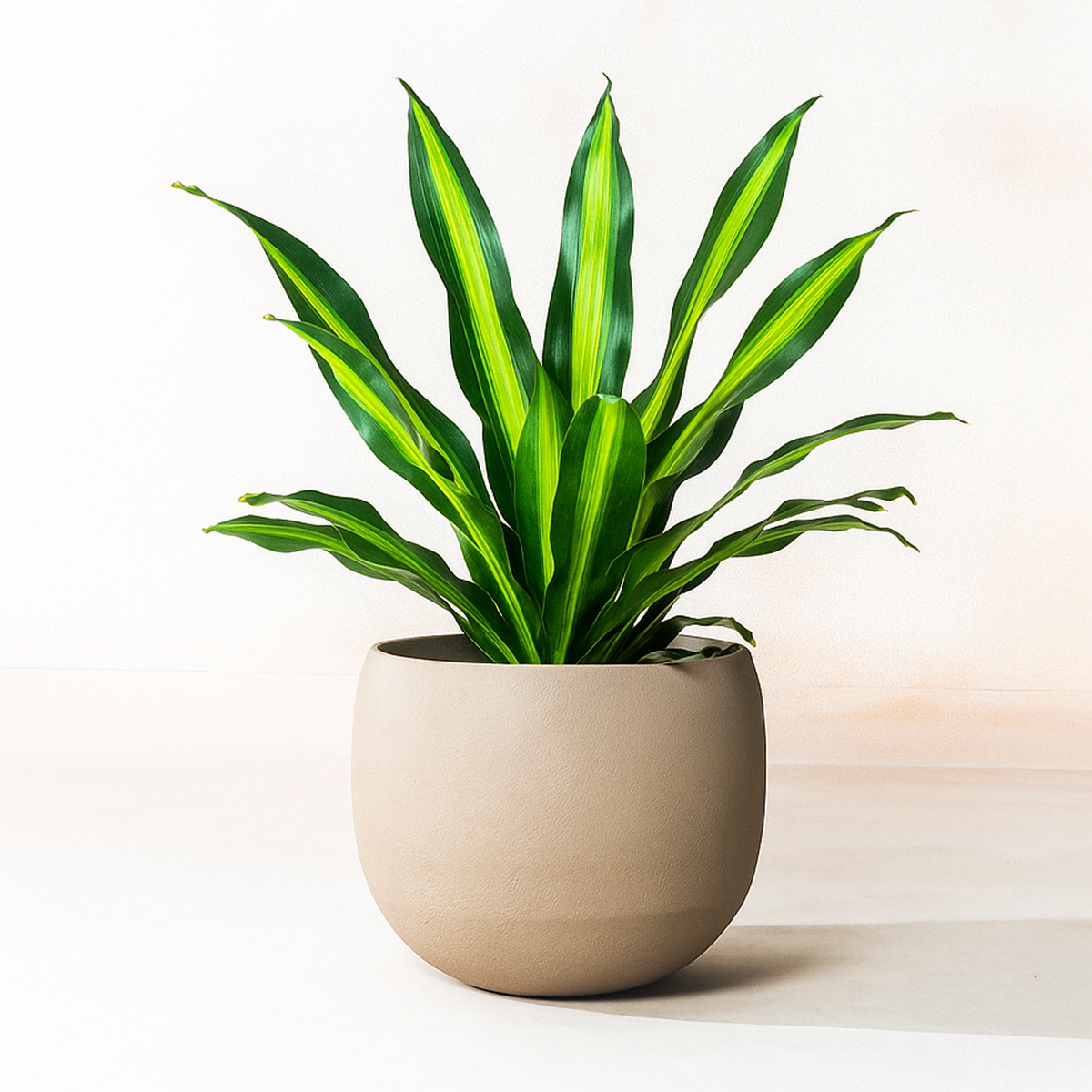 Stone Planter, lifestyle room scene, second view
