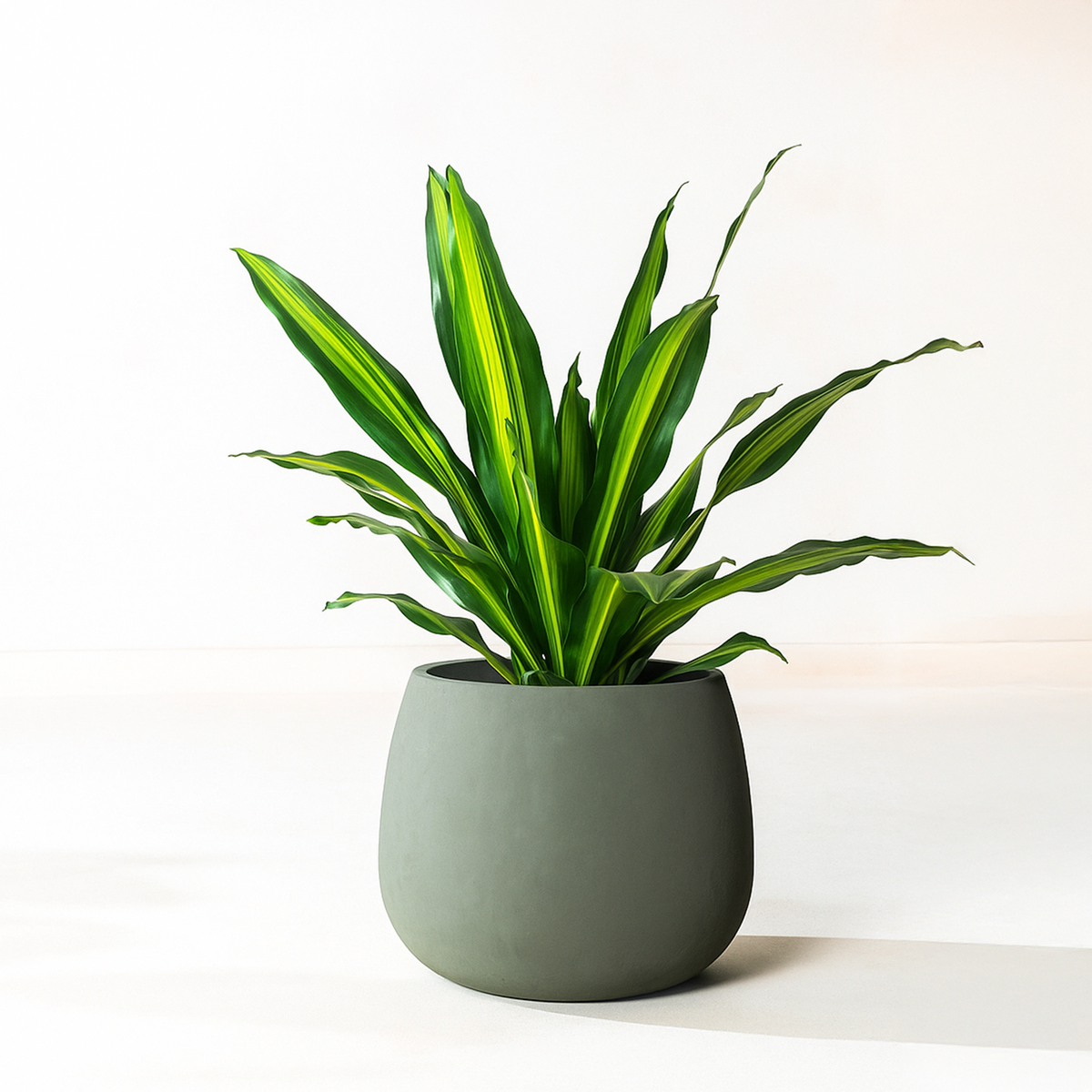 Verde Planter, lifestyle room scene, second view