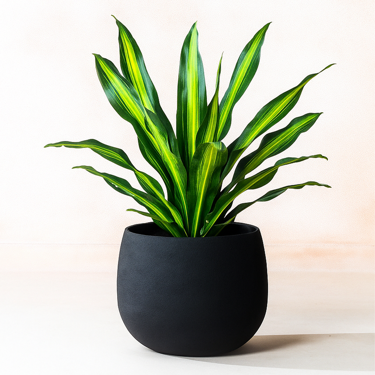 Midnight Planter, lifestyle room scene, second view