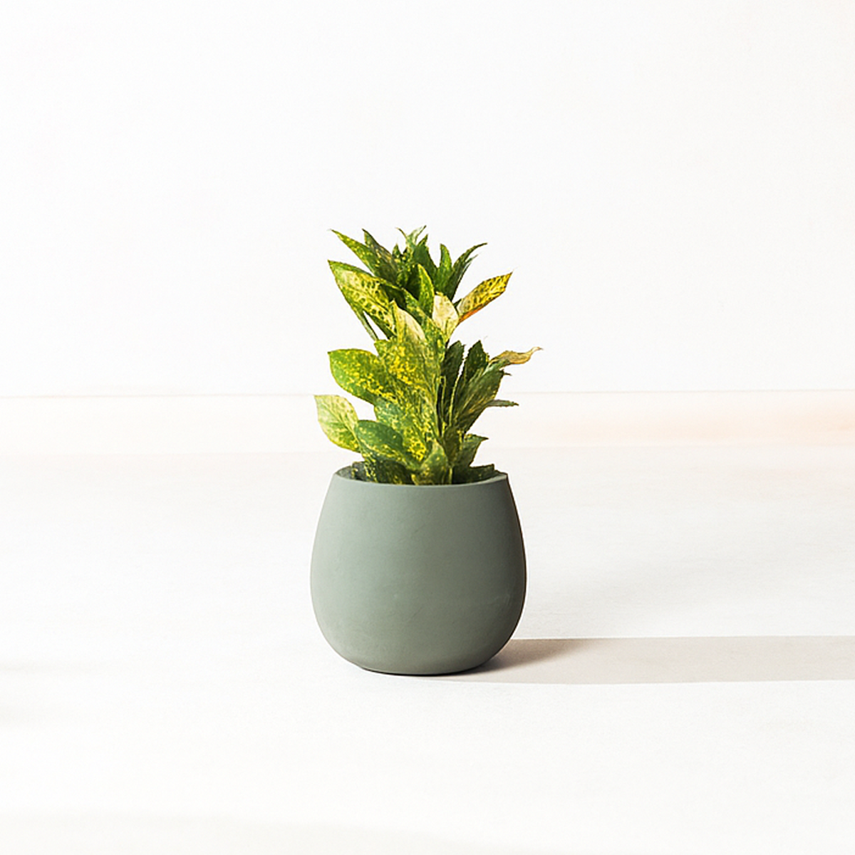 Verde Planter, lifestyle room scene