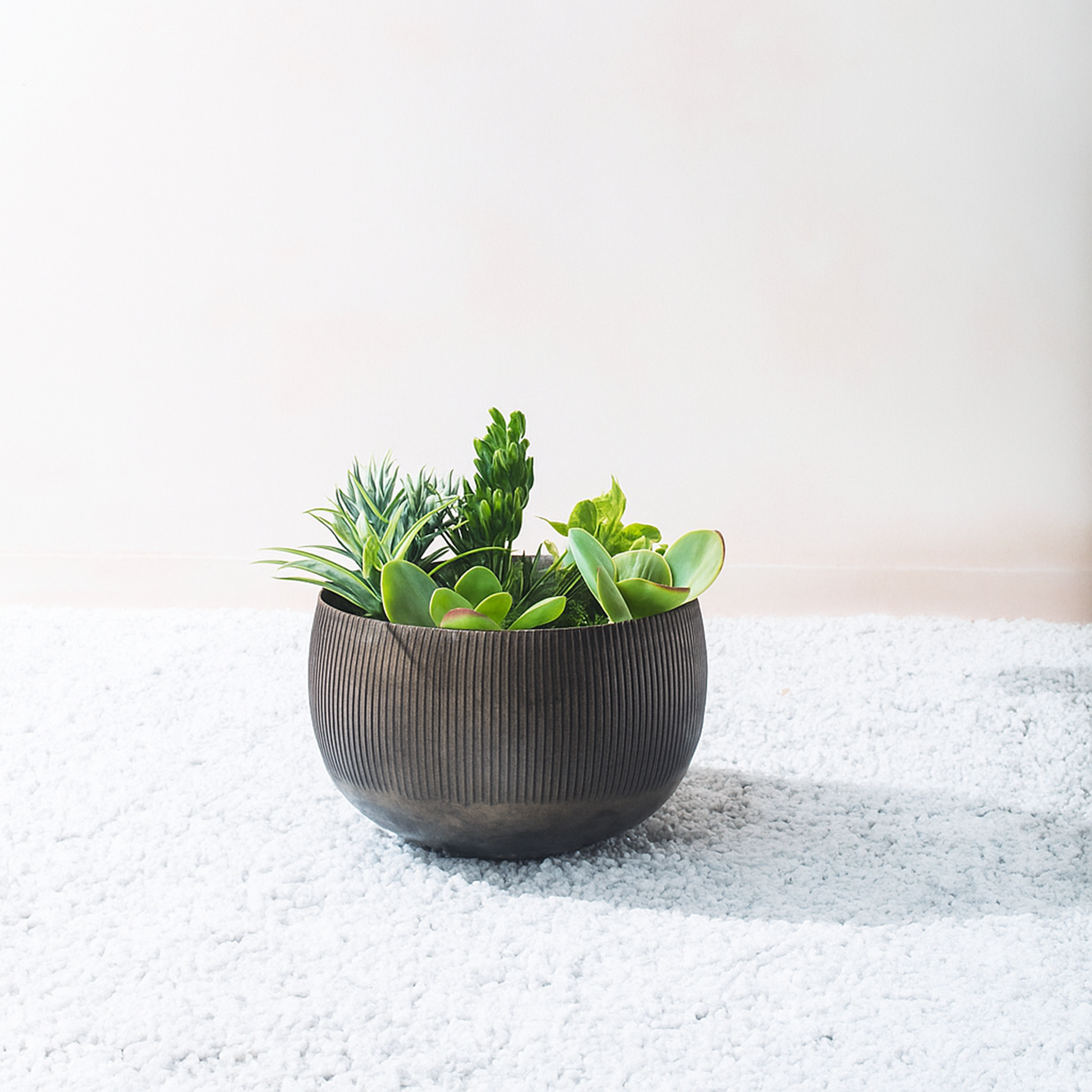 small brass plant pot Sow Antique Brass Bowl Metal Planters, Handmade, Lightweight & Decorat – Fab Habitat