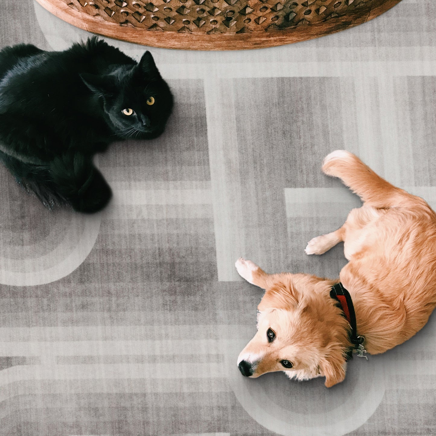 Lyra Modern - Beige ReaLife Machine Washable Rugs