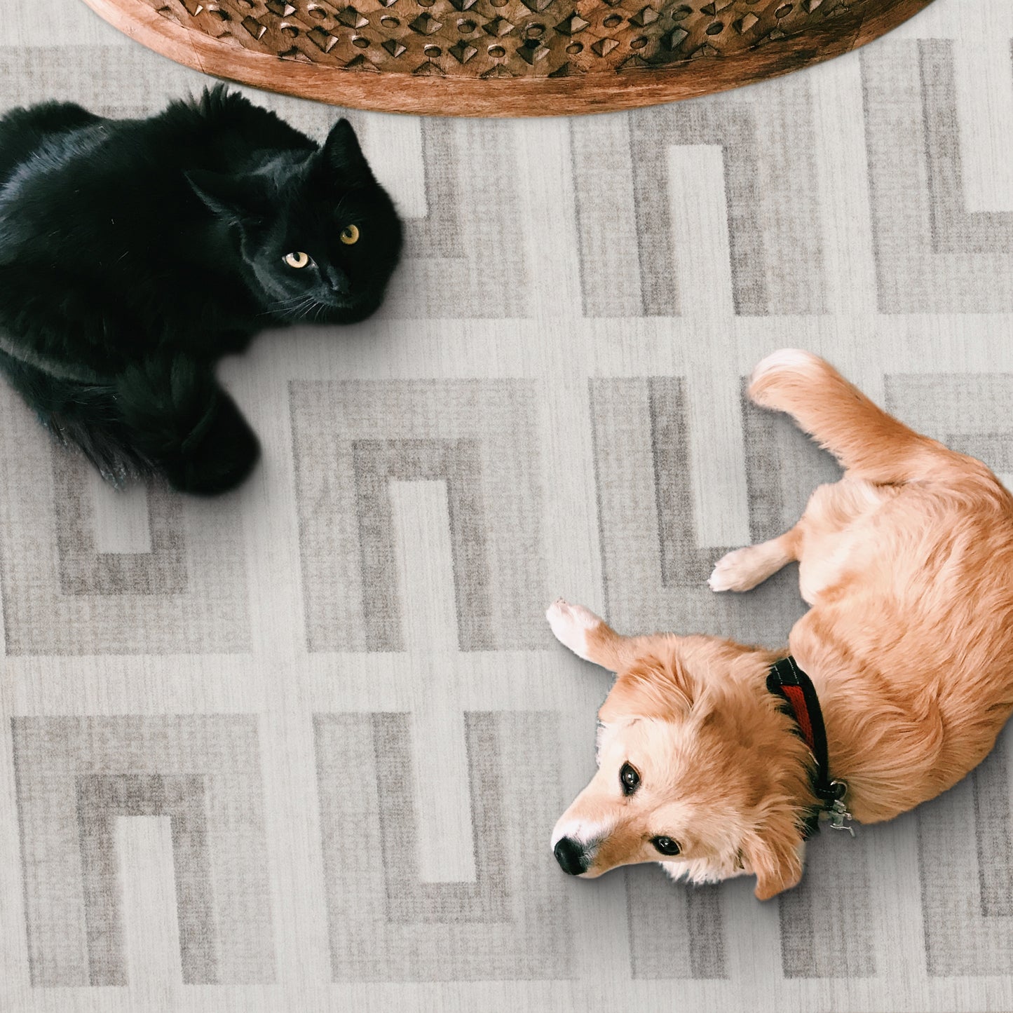 Remi Modern – Beige Machine Washable Rugs