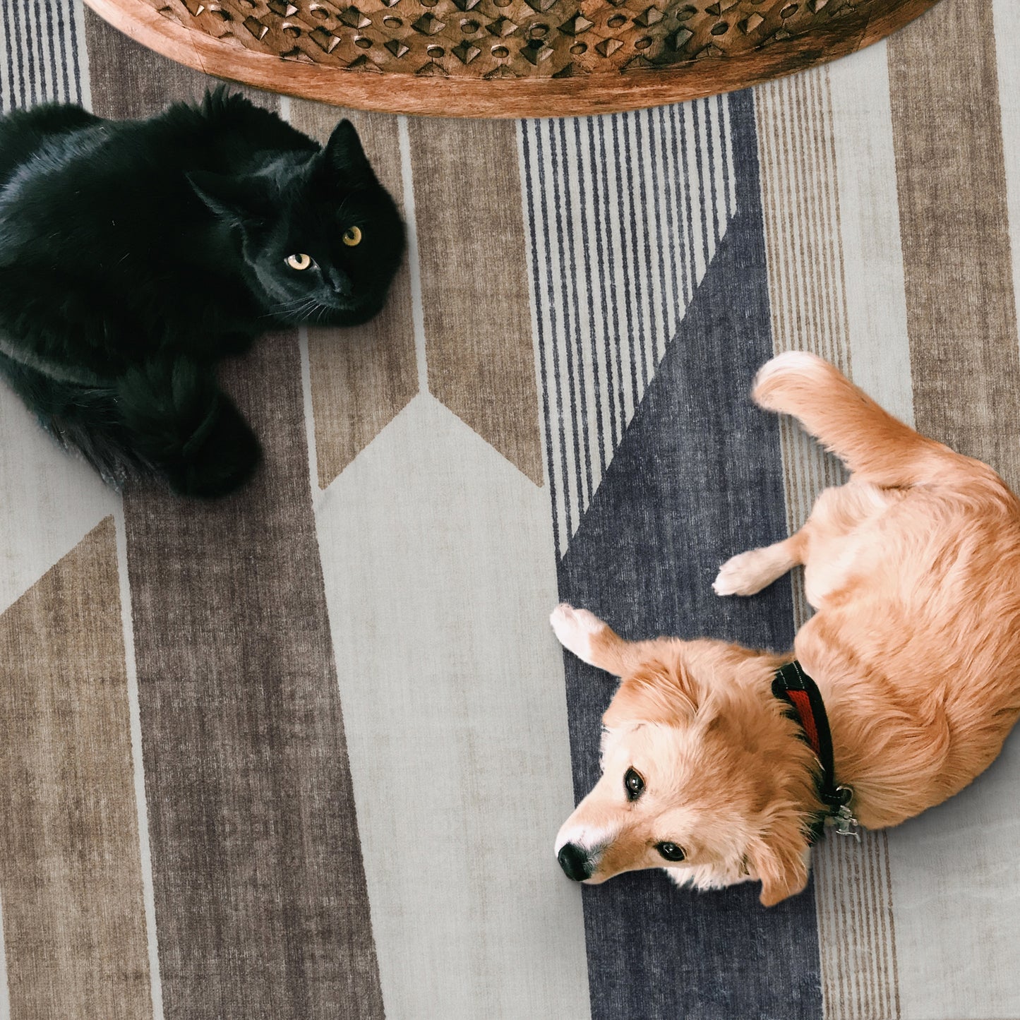 Theo Modern - Beige ReaLife Machine Washable Rugs