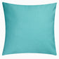 Big Sur Double Sided Indoor Outdoor Decorative Pillow - Aqua (20" x 20")