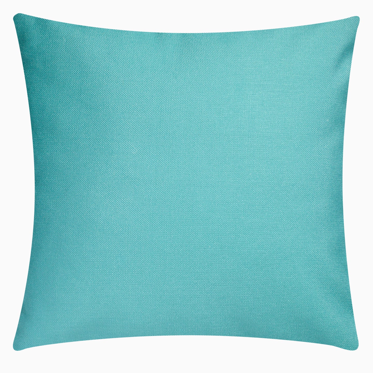 Big Sur Double Sided Indoor Outdoor Decorative Pillow - Aqua (20" x 20")