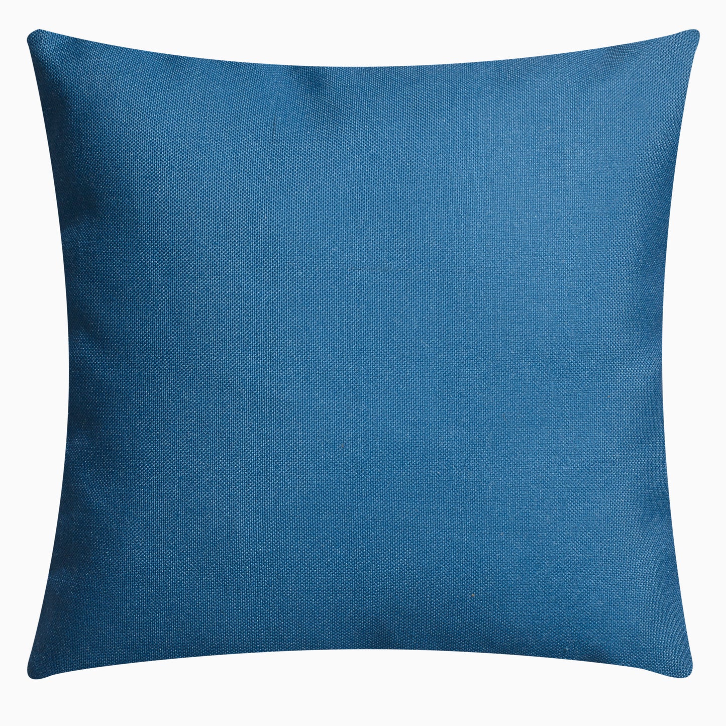 Big Sur Double Sided Indoor Outdoor Decorative Pillow - Blue (20" x 20")