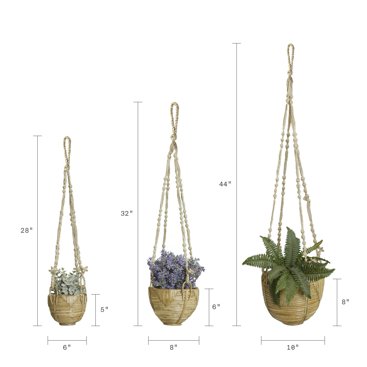 Pattaya (Set of 3)  Hanging Planters