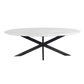 Harvest Starburst Marble Coffee Table for Living Room - 51" Oval