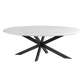 Harvest Starburst Marble Coffee Table for Living Room - 51" Oval