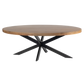 Harvest Starburst Mango Wood Coffee Table For Living Room - Natural 51" Oval