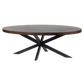 Harvest Starburst Mango Wood Coffee Table For Living Room - Walnut 51" Oval