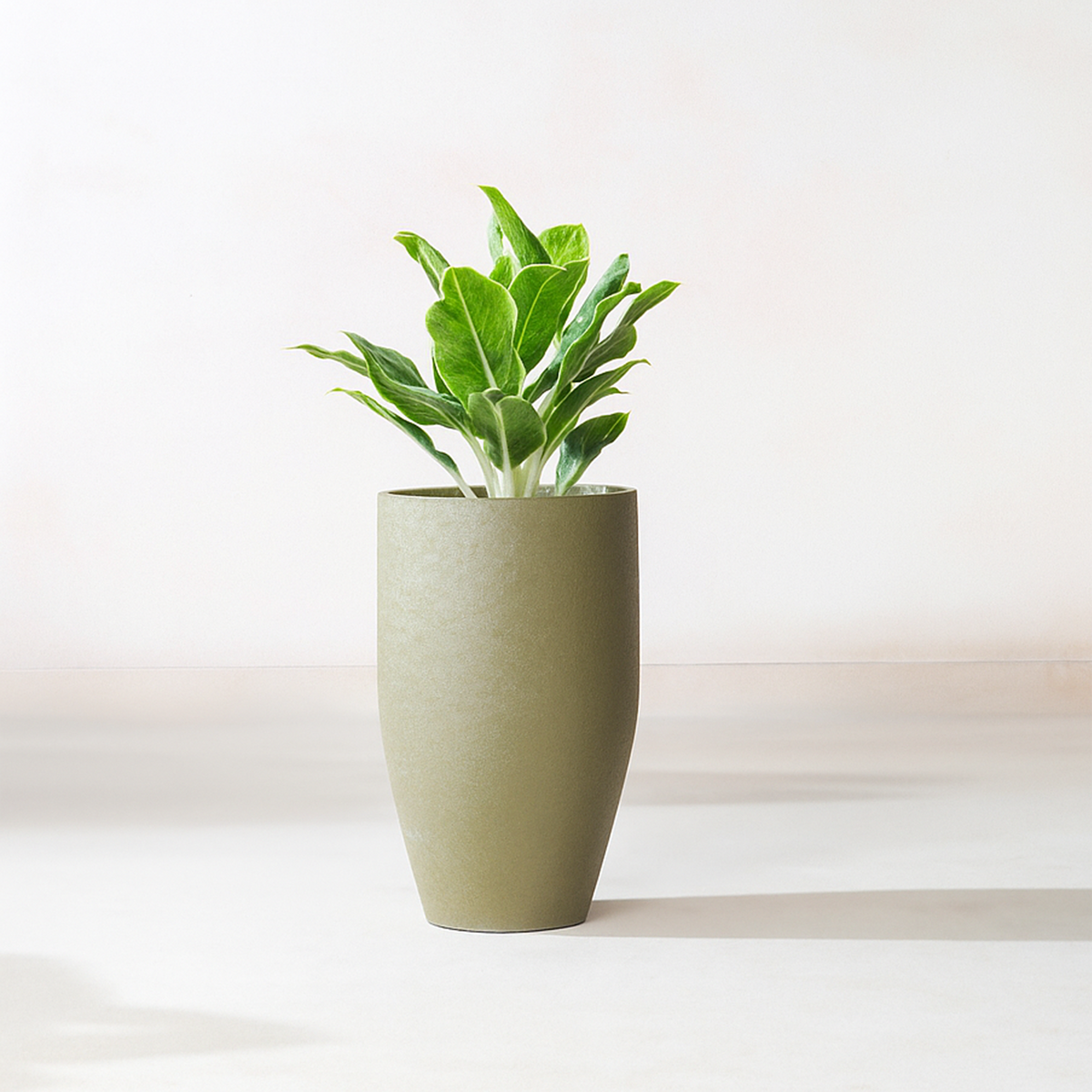Green Planter, lifestyle room scene