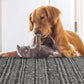 Pet Friendly Indoor Outdoor Fade & Stain Resistant Rug - Amman Charcoal