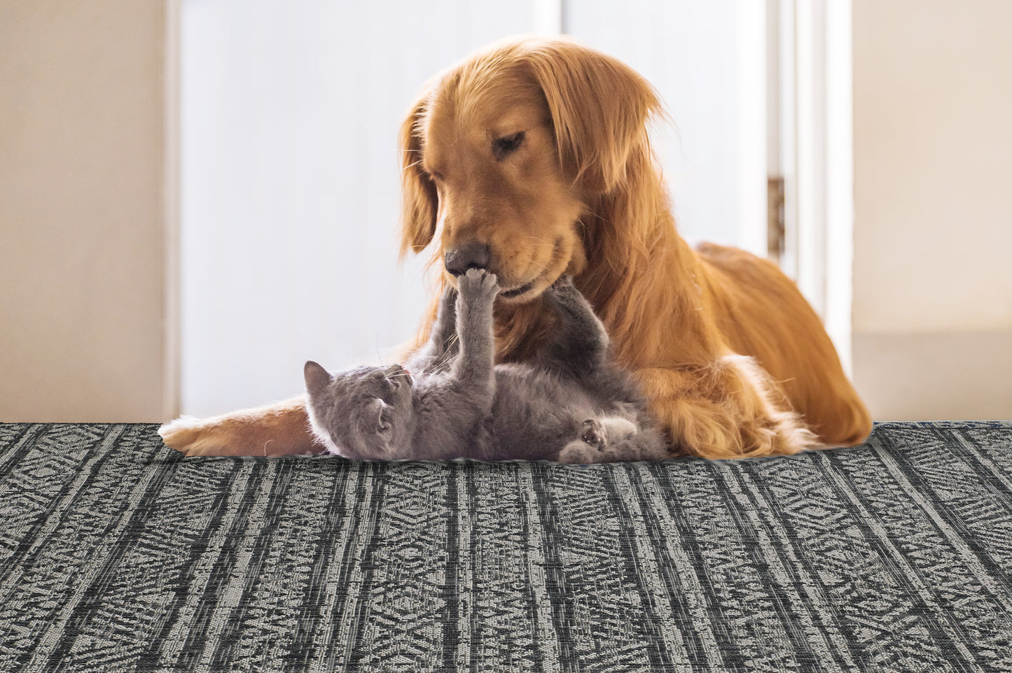 Pet Friendly Indoor Outdoor Fade & Stain Resistant Rug - Amman Charcoal