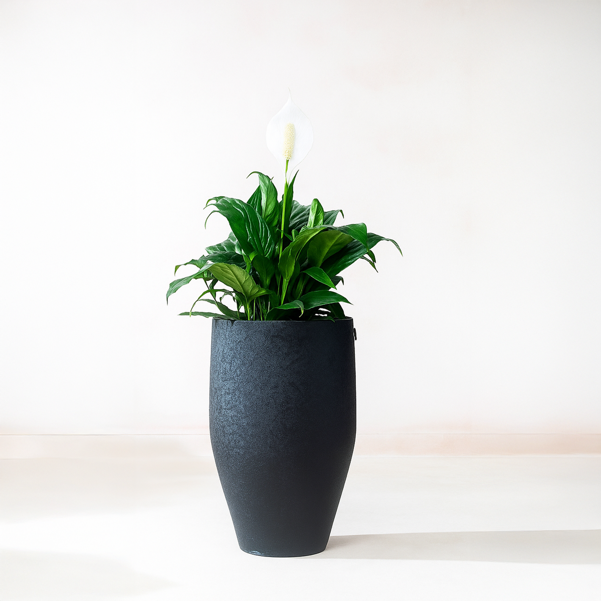 Green Planter, lifestyle video of outdoor planter