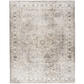 Full view of beige and ivory medallion machine washable area rug